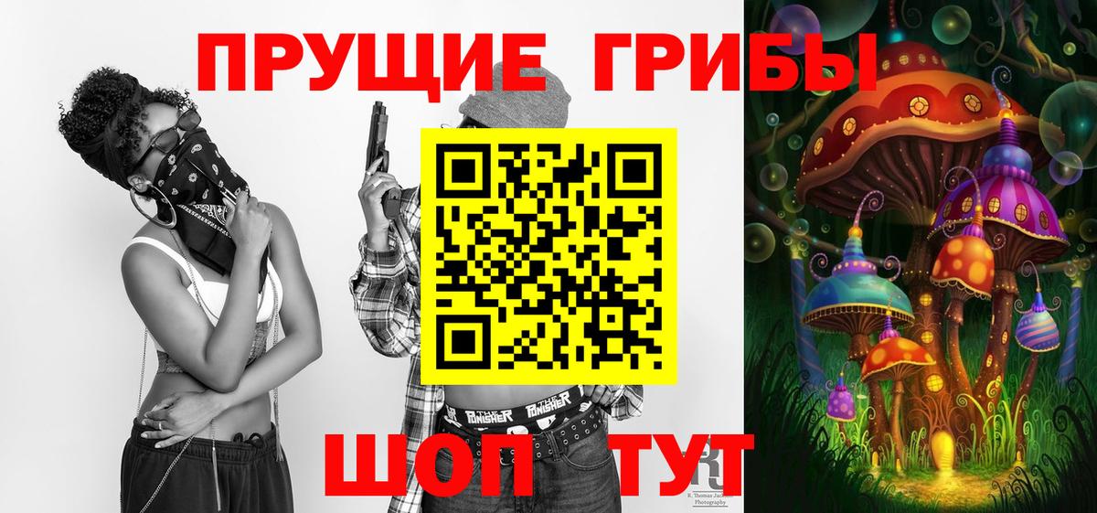 Камышлов  Псилоцибиновые грибы Cubensis  Вход с VPN 